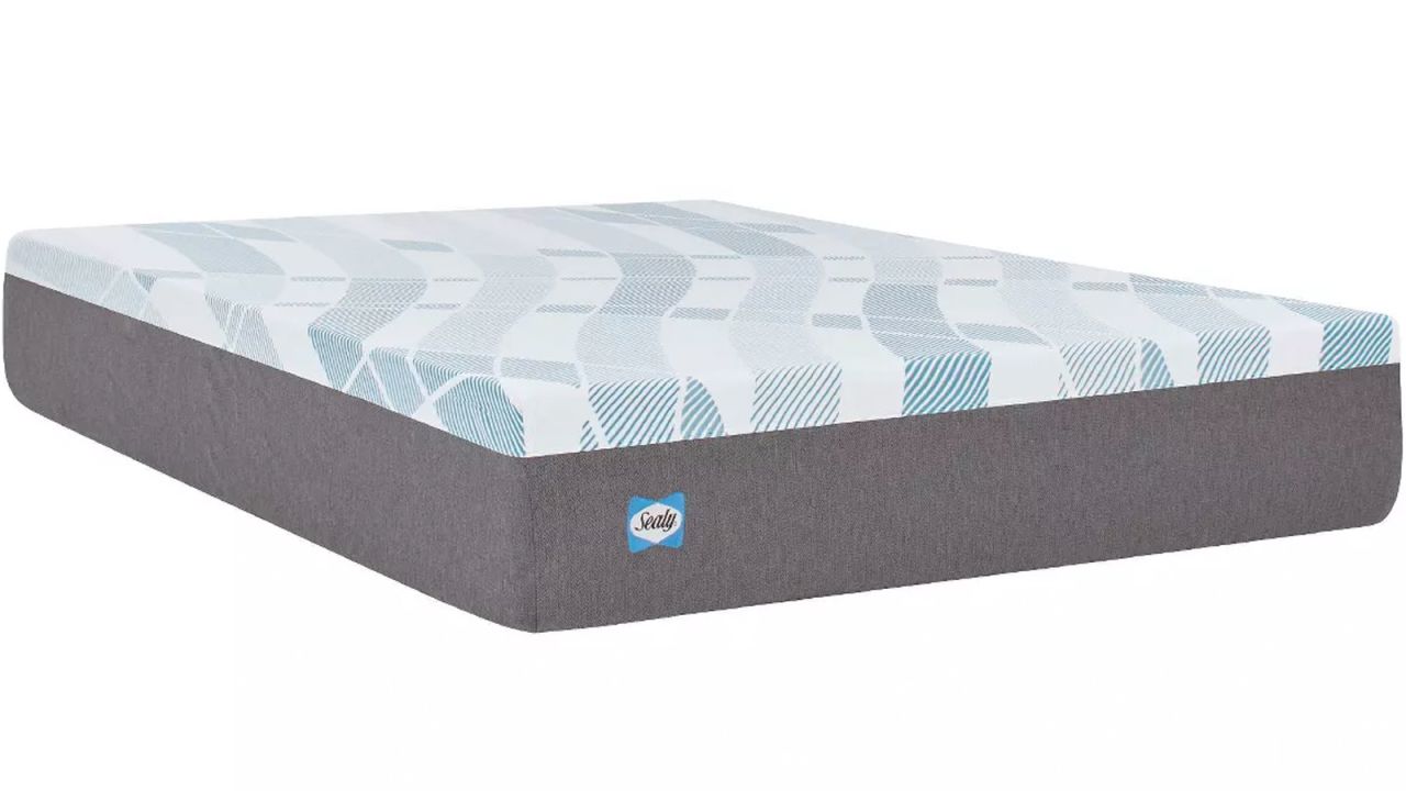 Sealy Dreamlife Queen.jpg