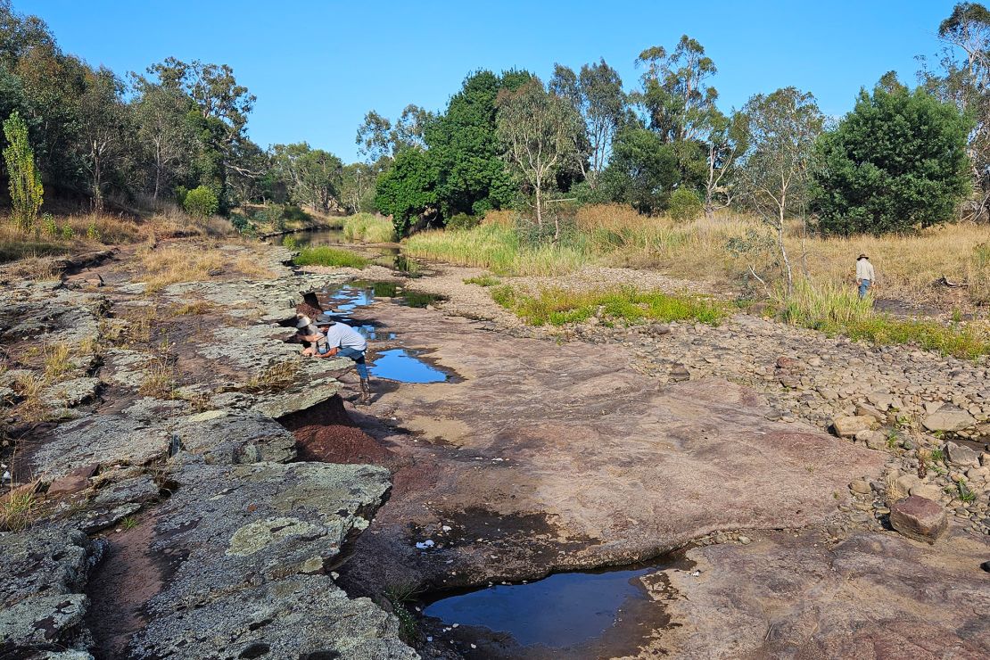 Researchers search for fossils along the Broken River near Mansfield.