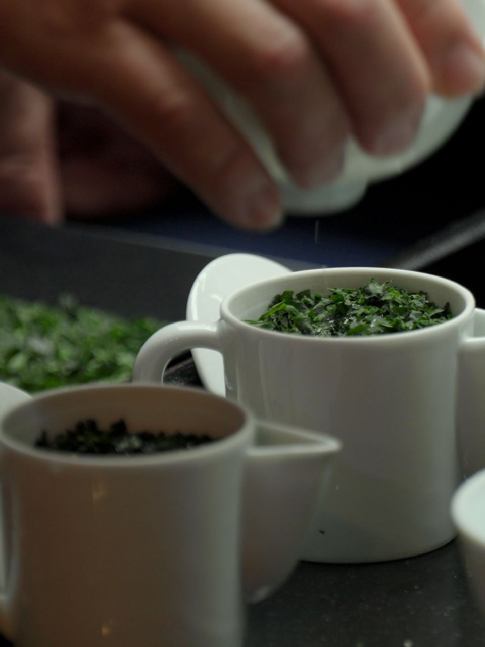 Seasons Digital #1 - Matcha (Clean).00_01_00_12.Still009.jpg