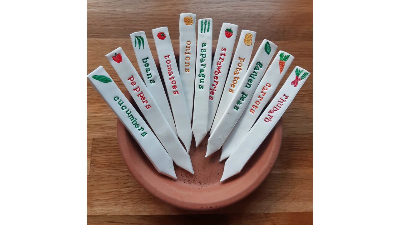 seed-markers-cnnu.jpg