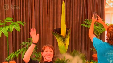 Sequence 03.00_00_01_06.Still001.jpg
