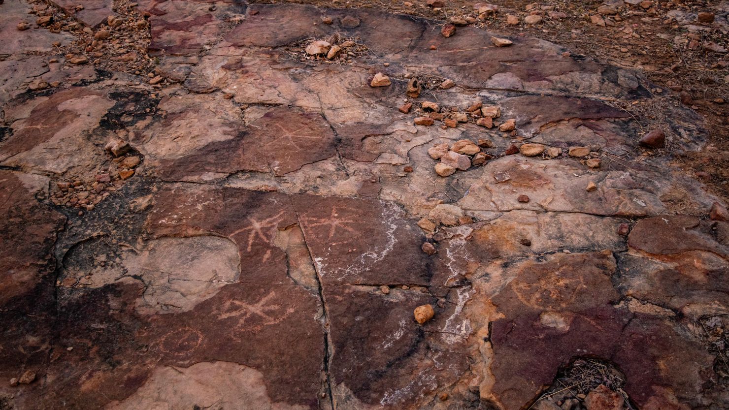 Called petroglyphs, these carvings are in the shape of stars or circles with internal divisions on a rocky outcrop where sauropod dinosaur footprints are found at the Serrote do Letreiro site in the Brazilian state of Paraíba.