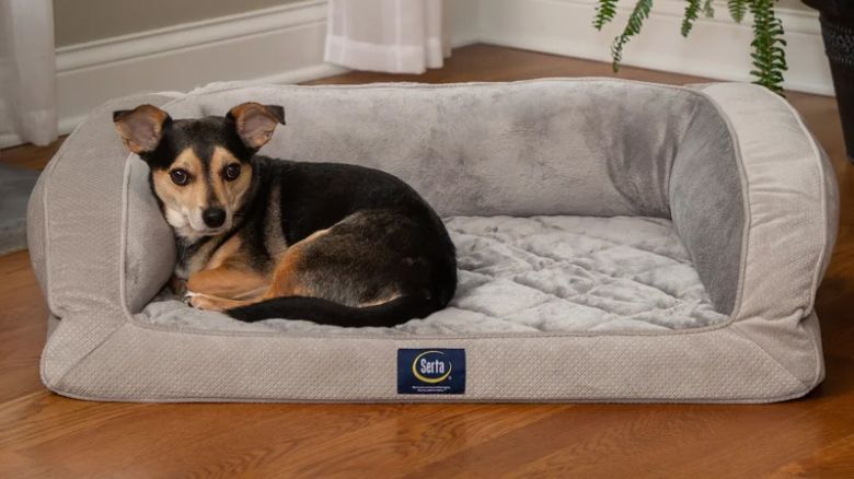 Serta Quilted Couch Pet Bed cnnu.jpg