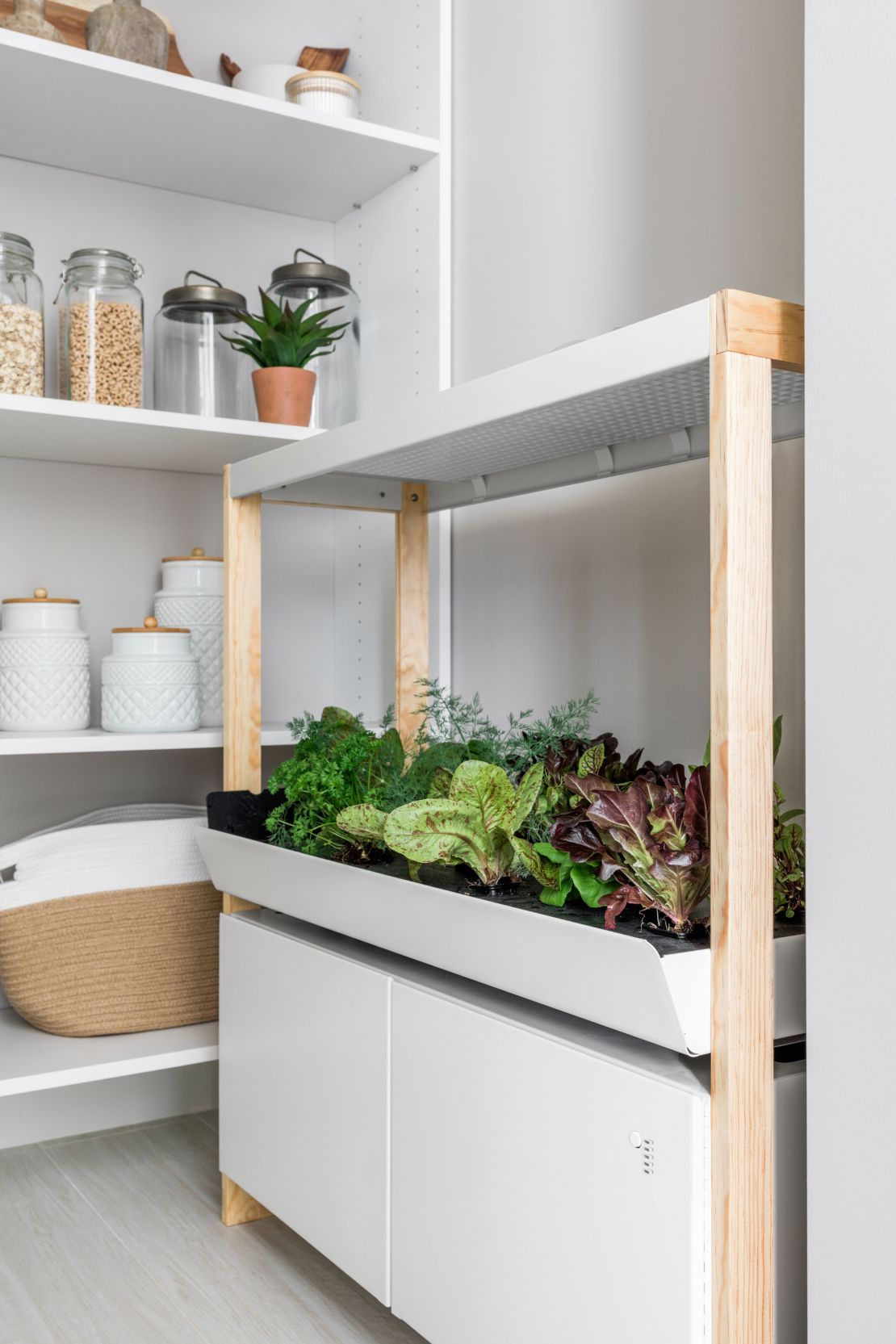 This pantry includes a hydroponic garden with smart grow lighting that makes it easy to grow produce at home year-round.