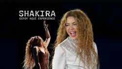 Shakira Experience.jpg
