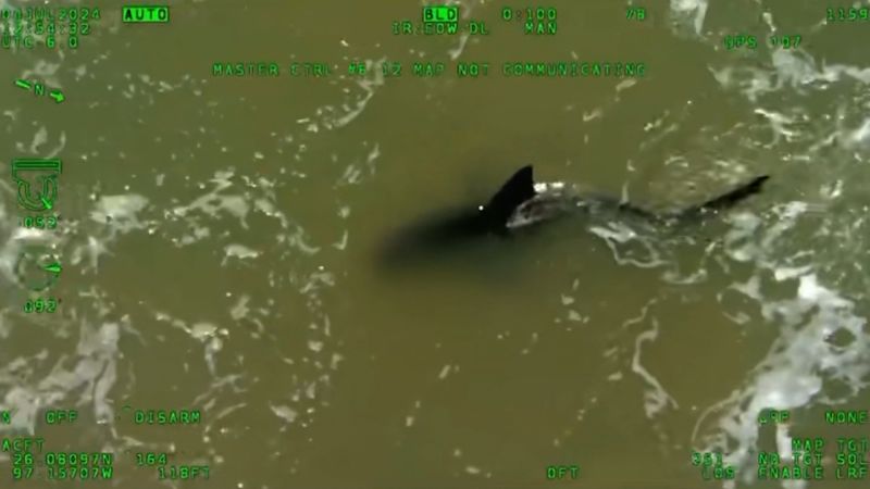 Aerial video shows shark that officials say attacked several people