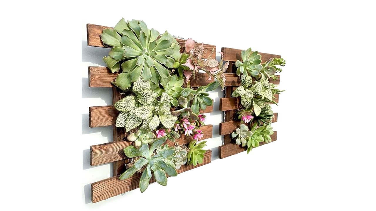 ShopLaLa Wooden Wall Planters.jpg