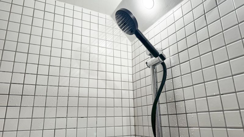 Speak purchases man Westin heavenly duel shower head