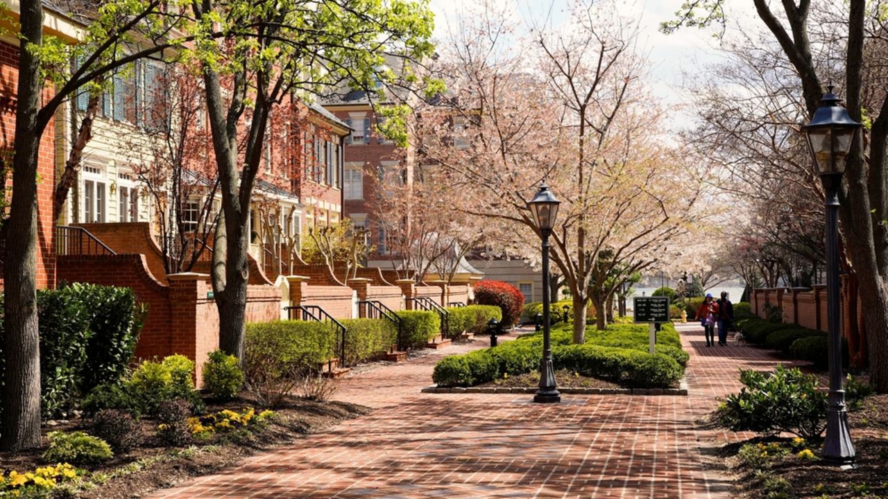 shutterstock_alexandria-va-2183041773.jpeg