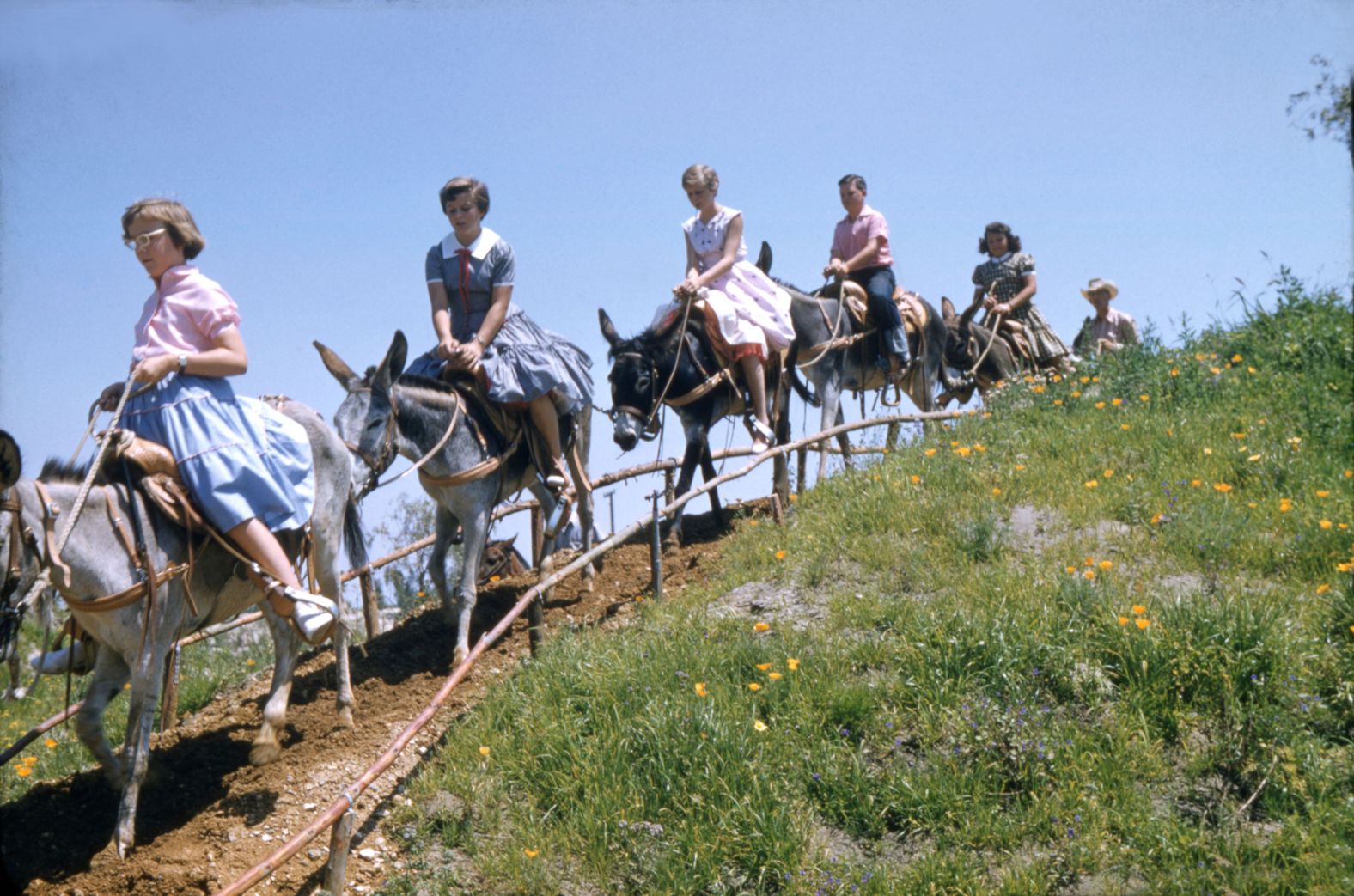 People ride donkeys at the park.