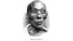Mandatory Credit: Photo by Glasshouse Images/Shutterstock (13098717a)
Mummy of Tutmes II (Thutmose II), Illustration from the Book, "From Pharaoh to Fellah" by C.F. Moberly Bell with Illustrations by Georges Montbard, engraved by Charles Barbant, Wells Gardner, Darton, & Co., London, 1888
Various