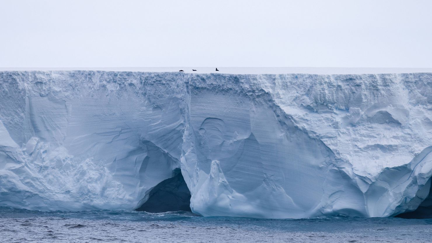 Iceberg