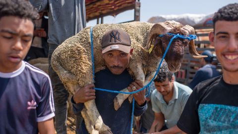 Mandatory Credit: Photo by Jalal Morchidi/EPA-EFE/Shutterstock (14538097as)
A sacrificial sheep is brought to a livestock market before Eid al-Adha, or Eid al-Adha, in the industrial district of Rabat, Morocco, 13 June 2024. The Moroccan government decided this year to allow and support the import of 600,000 sheep in an attempt to reduce meat prices for Eid al-Adha. It is the holiest of Islamic holidays celebrated by both. Every year, there is the annual Hajj to visit Mecca, the holiest place in Islam. Muslims slaughter the sacrifice and divide the meat into three parts: a part for the family, a part for friends and relatives, and a part for the poor and needy. In Morocco, Eid al-Adha falls this year on June 17.
Eid al-Adha preparations in Rabat, Morocco - 13 Jun 2024