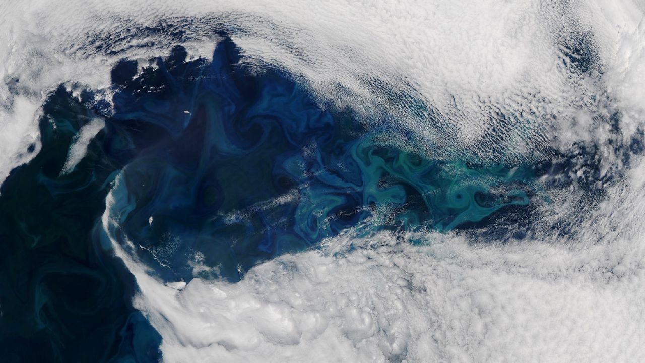 June 16, 2024 - North Atlantic Ocean - Since May 2024, satellite images have hinted at a phytoplankton bloom developing off the coast of southeast Greenland. But a near-constant stream of clouds prevented optical sensors from getting a clear look. That changed in mid-June, when a short-lived gap in the clouds over the North Atlantic Ocean exposed the bloom's colorful swirls. The bloom is visible in this image, acquired on June 16, 2024, with the MODIS (Moderate Resolution Imaging Spectroradiometer) on NASA's Aqua satellite. The image shows an approximately 800-kilometer-wide patch of the North Atlantic Ocean centered east of Greenland and south of Iceland. The bloom stretches many more hundreds of kilometers beyond the edges of this image. Peek-a-Bloom in the North Atlantic, North Atlantic Ocean - 16 Jun 2024