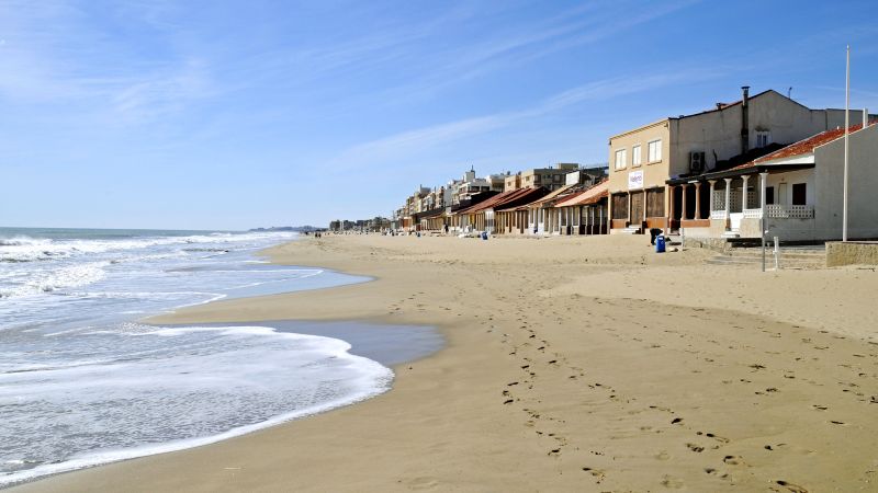 Spanish beaches shut after venomous blue dragon sea slugs found