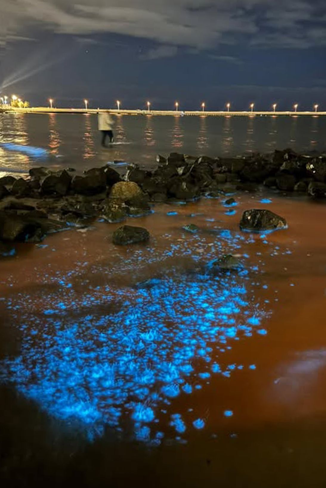 Bioluminescent algae at St. Kilda Beach in Melbourne, Australia.