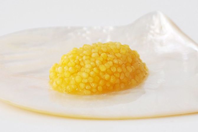 Even amongst other caviar, Almas Caviar is expensive. It comes from an albino Iranian Beluga sturgeon, a rare trait for an already rare fish. Sometimes sold in a 24-karat gold-plated tin, the caviar has a golden yellow color and a smooth texture and<strong> </strong>sells for around $30,000 per kilogram.