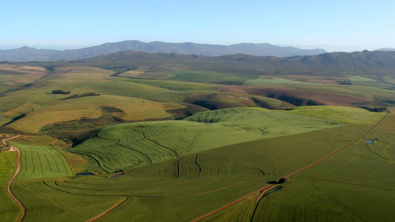 Trump and Musk mislead over South Africa’s land reform law