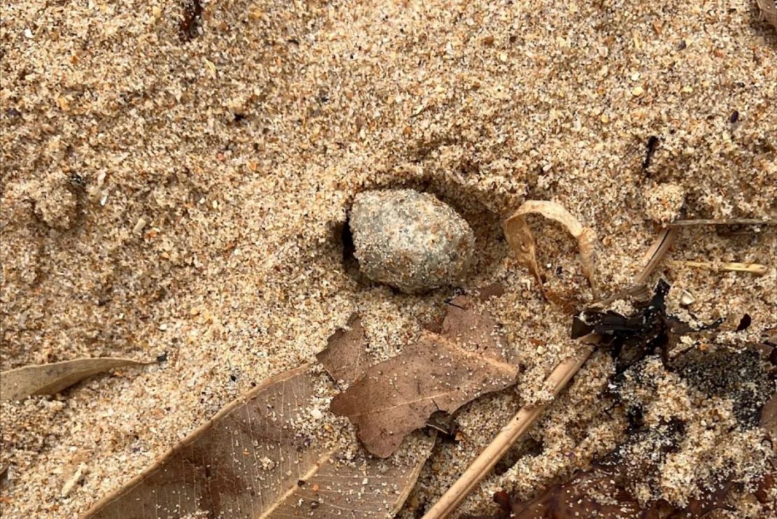 Un escombro de forma esférica no identificado encontrado en la orilla en Australia.