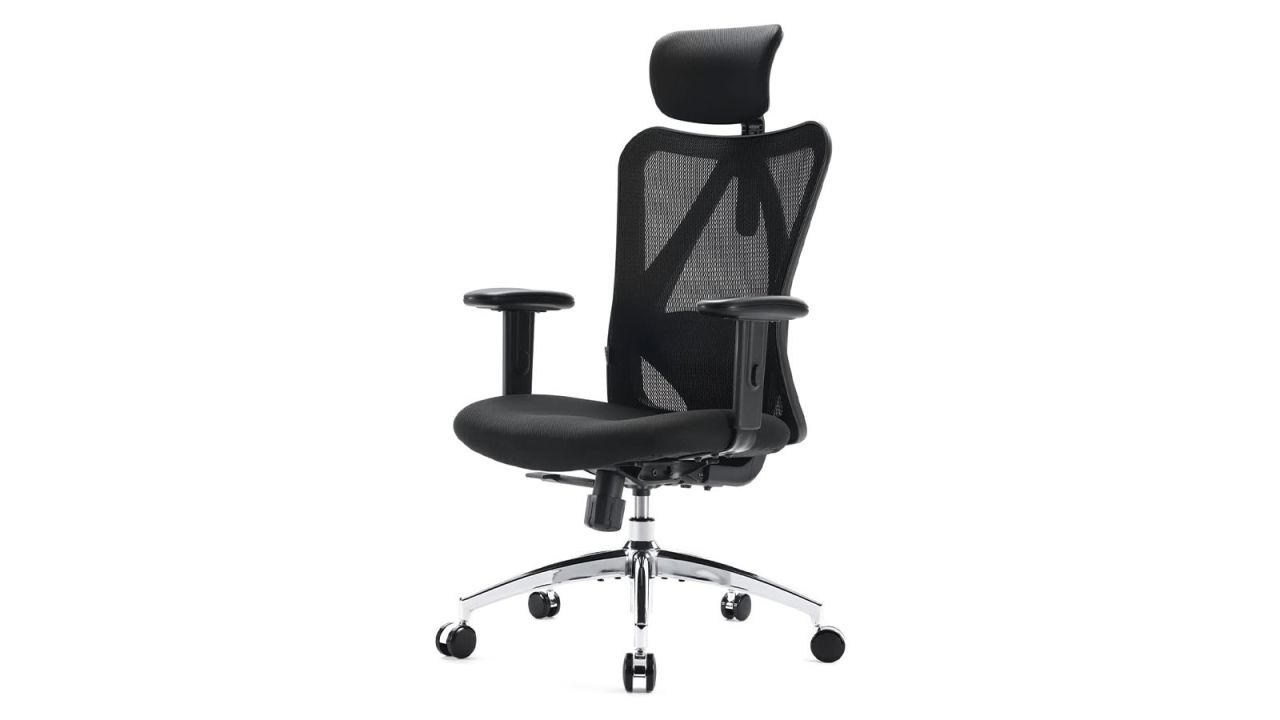 Sihoo Office Chair cnnu.jpg