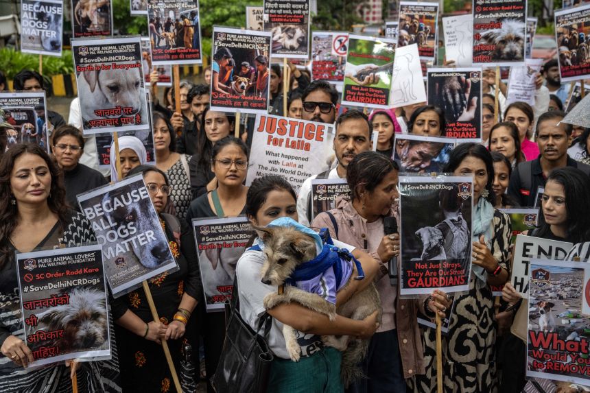 Animal lovers protest in Mumbai against the Supreme Court's order to remove stray dogs from Delhi national capital territory on August 17, 2025