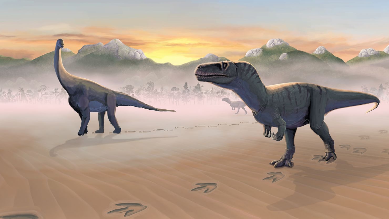 Herbivorous sauropods and carnivorous megalosaurs would have moved around the same lagoon.
