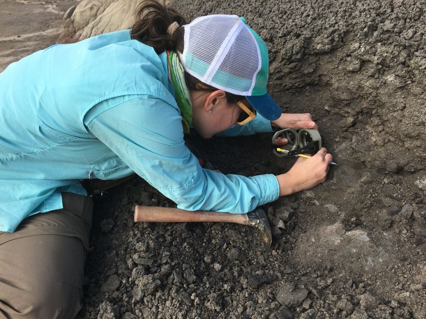 Geologist Caitlin Leslie collects samples from a rock layer showing when mammals inhabited the San Juan Basin in New Mexico.