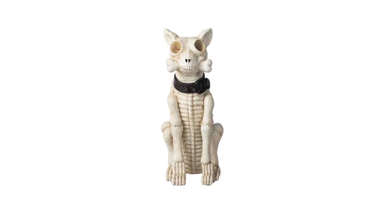 skeleton dog card .jpg