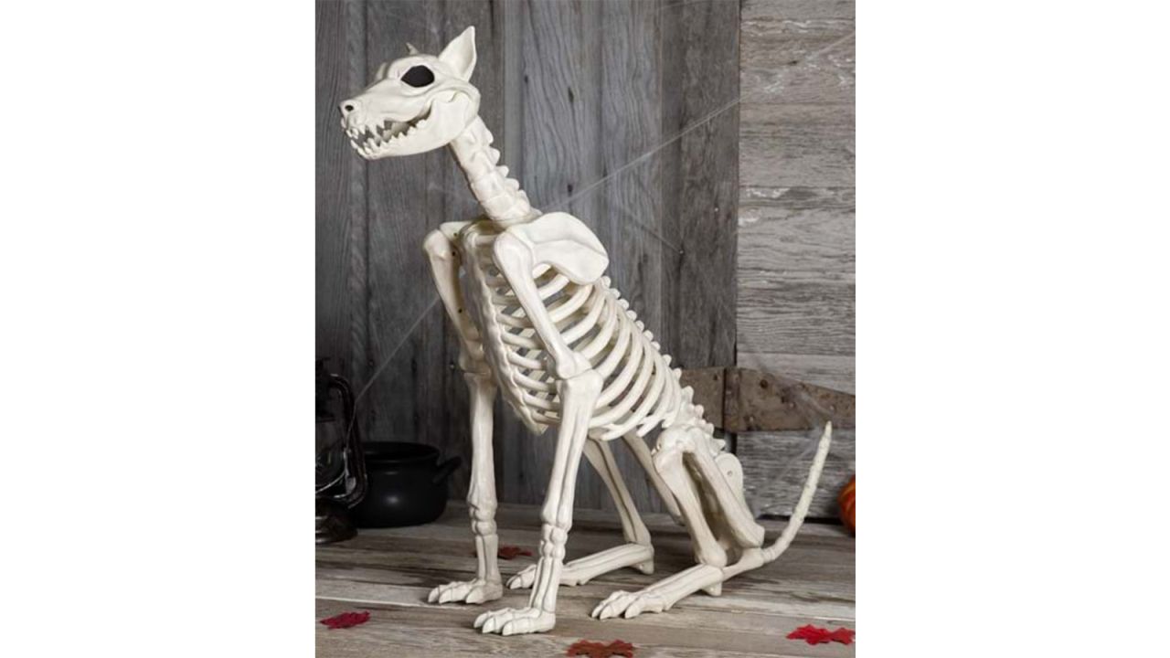 skeleton dog.jpg