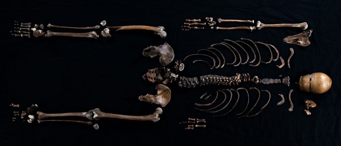 Multiple excavations have helped researchers piece together Well-man's skeleton.