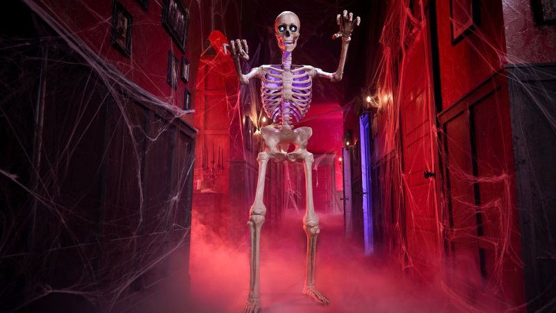 Home Depot Halloween Collection Skelly