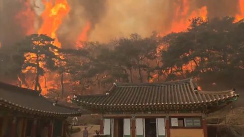 skorea-wildfires-temple.jpg