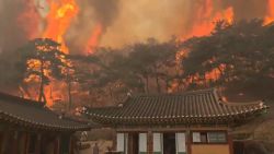 skorea-wildfires-temple.jpg