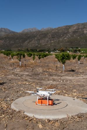 Pictured, a SkyBugs trial flight in November 2022. The drones fly at a height of around 30 meters, carrying a “motor-driven mechanism equipped with a cartridge,” says Matt Davis, head of mapping operations at Aerobotics. “As the motor rotates, a plastic film unfolds, releasing wasp pupae (the stage of an insect between larva and adult).”