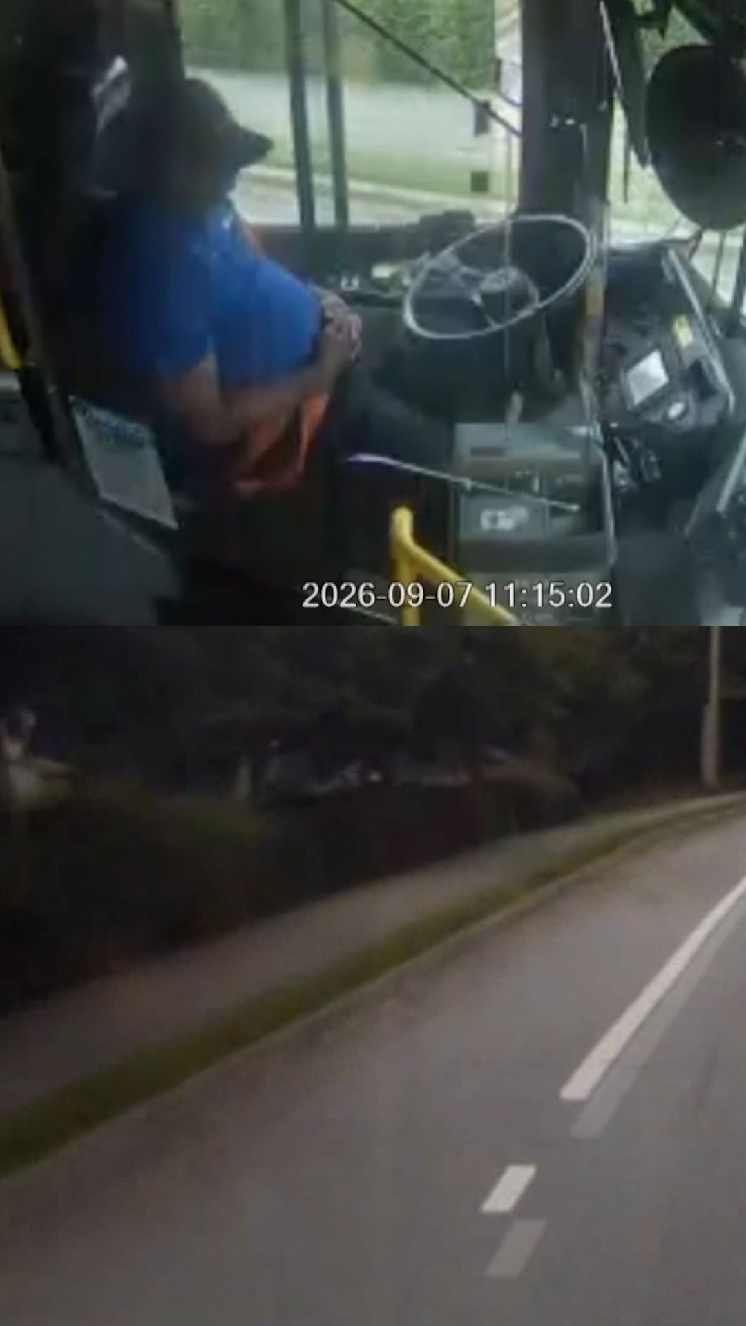 sleeping driver.jpg