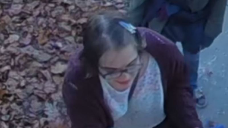 Morgan Geyser, convicted in the ‘Slender Man’ stabbing, goes missing in Wisconsin