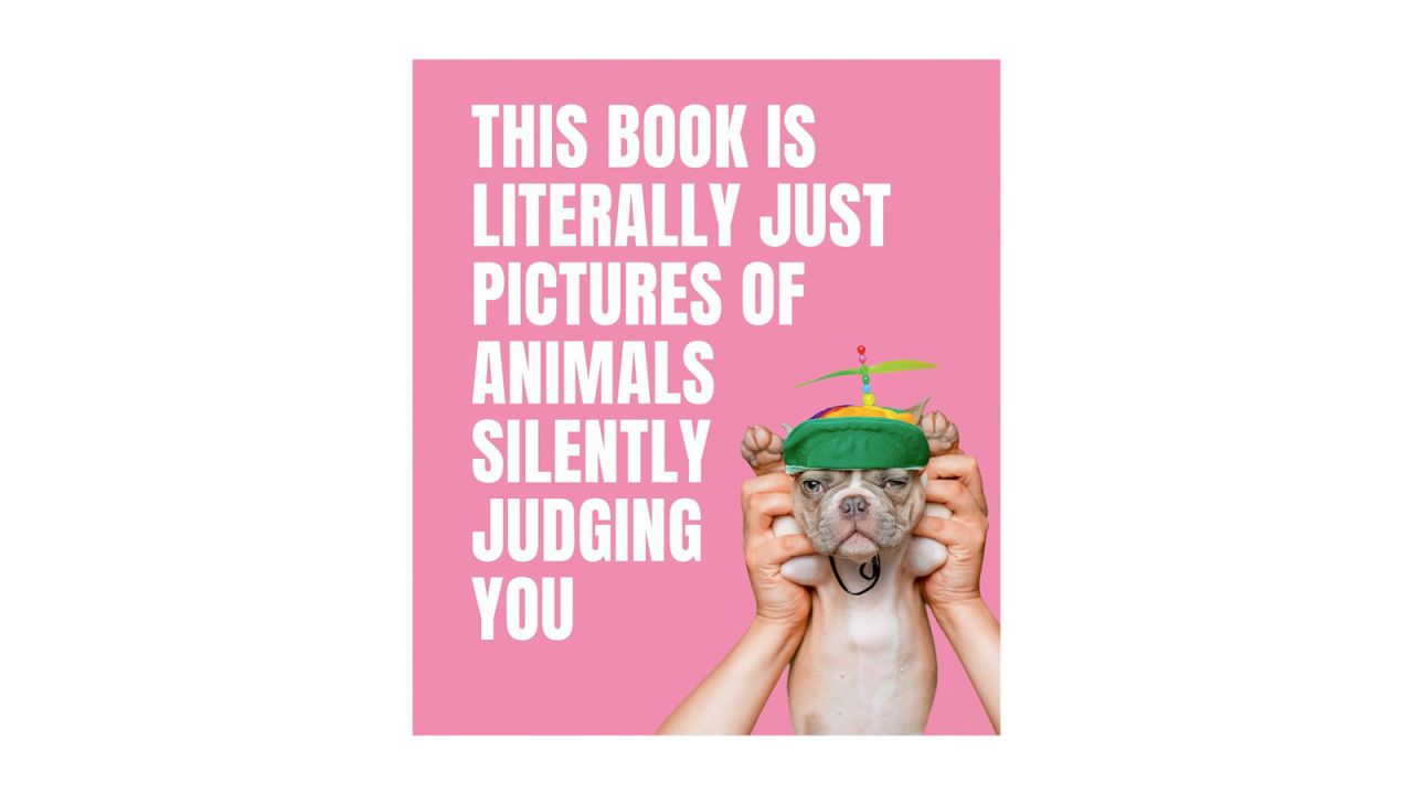 Smith Street Books This Book is Literally Just Pictures of Animals Silently Judging You.jpg