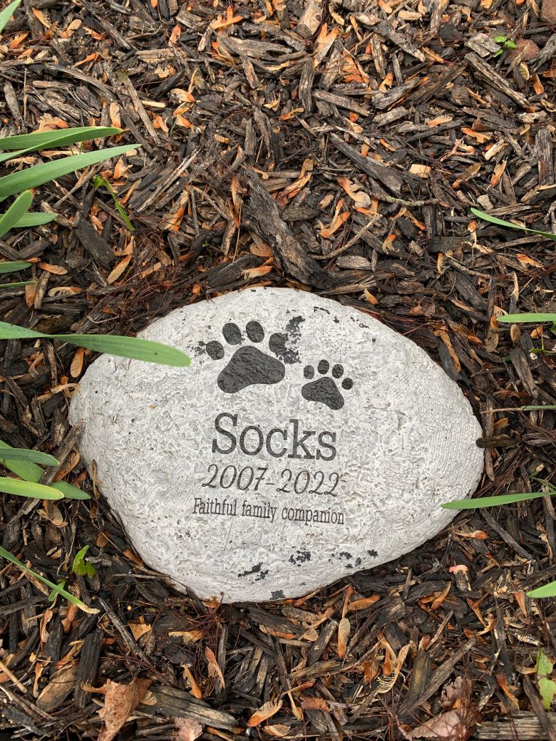 A memorial stone for Socks. For Dill, the dog's death brought a religous epiphany.