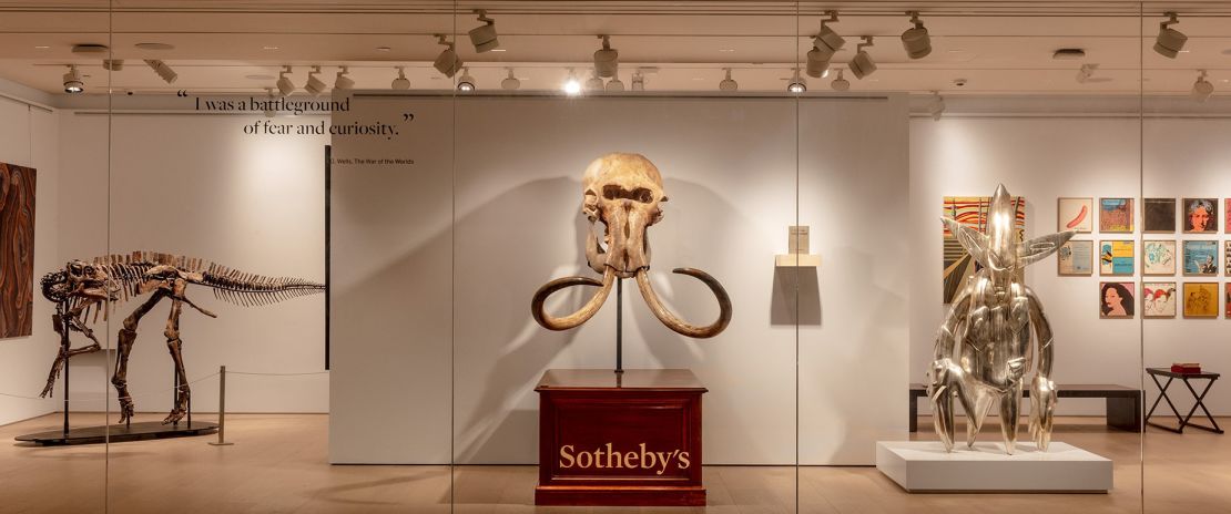 High-value collectibles, from prehistoric fossils to limited edition sneakers, alongside paintings, sculptures and prints are on show.