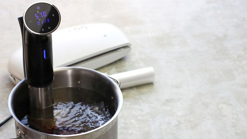 best sous vide precision cooker