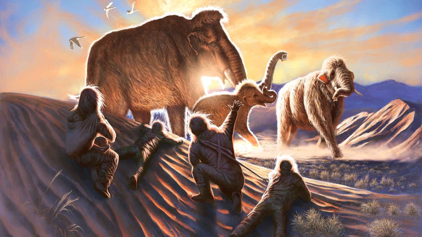 An illustrator's rendering shows the relationship between woolly mammoths found in the Swan Point area of what is now Alaska with a family of hunter-gatherers.