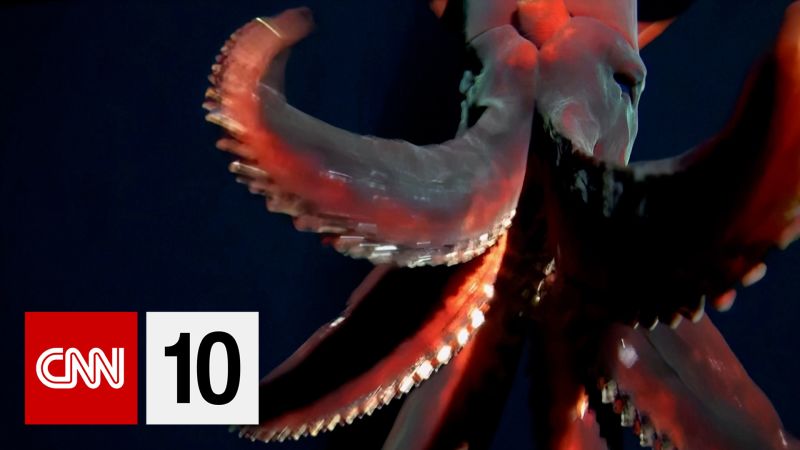 CNN 10: The big stories of the day, explained in 10 minutes