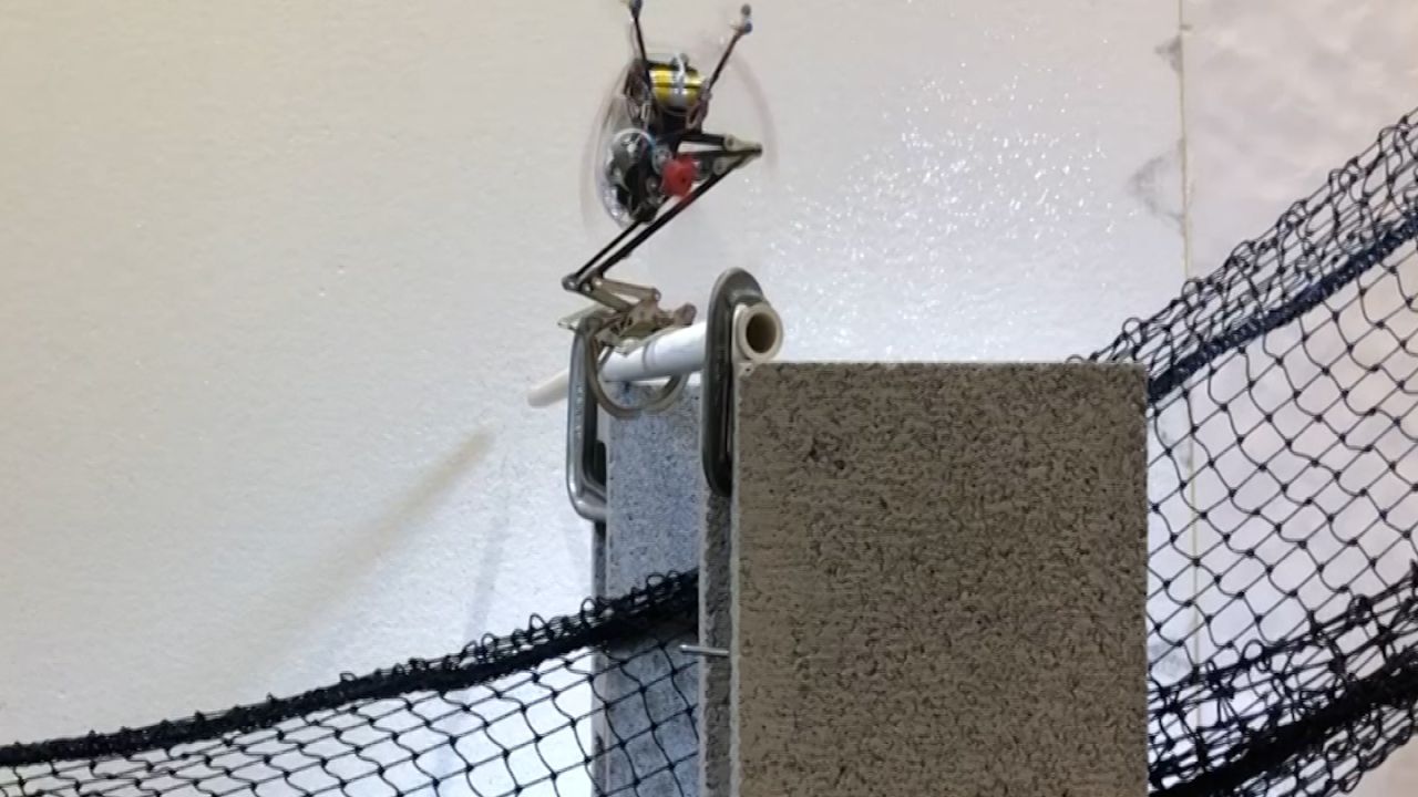 Squirrel Robot Thumbnail CLEAN0.jpg