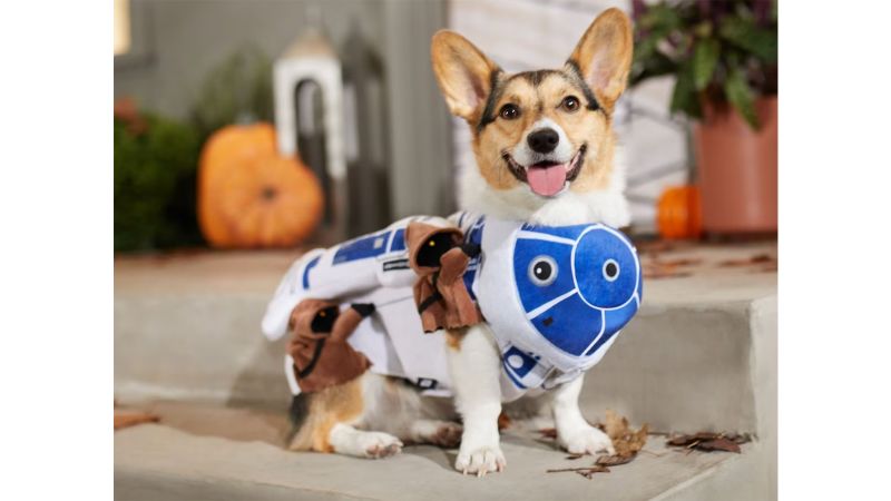 Dog star costume sale