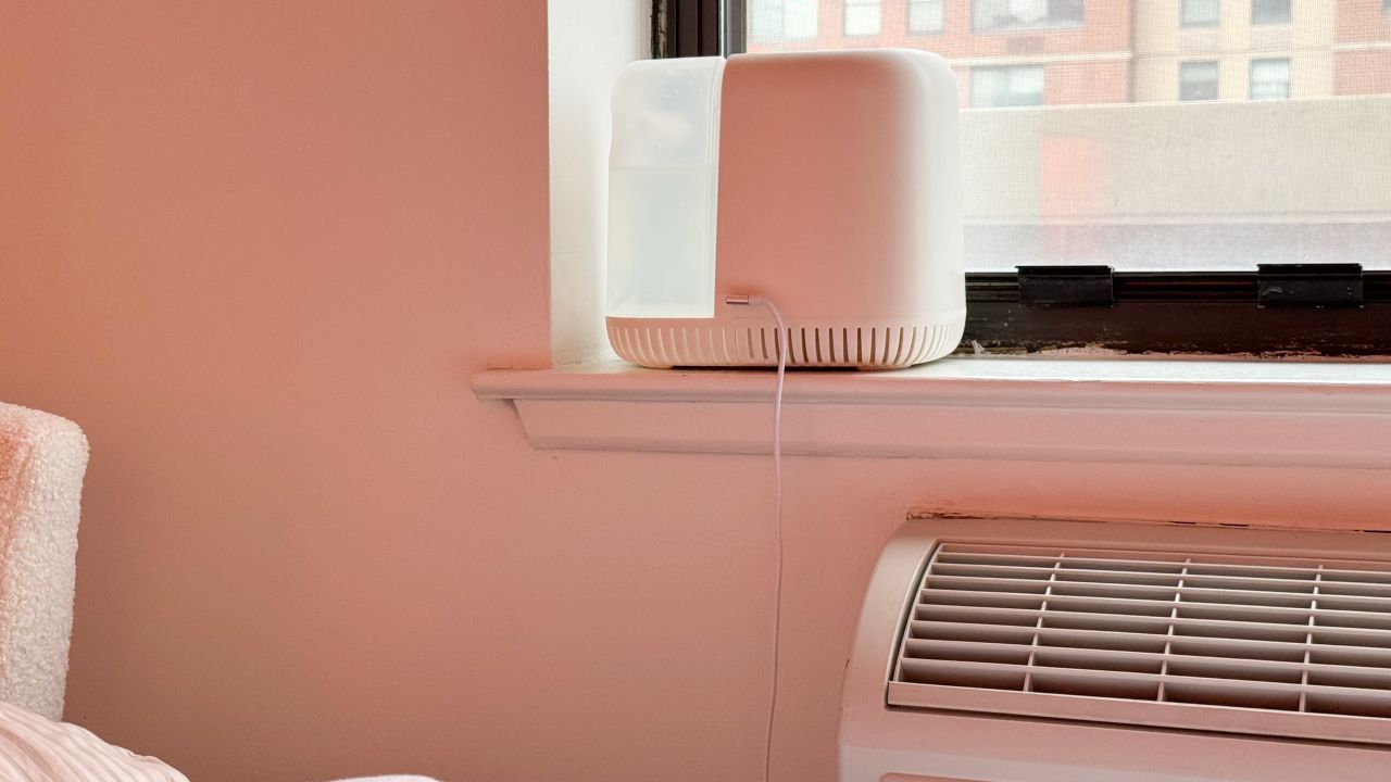 Stephanie-Canopy-Bedside-Humidifier.jpg