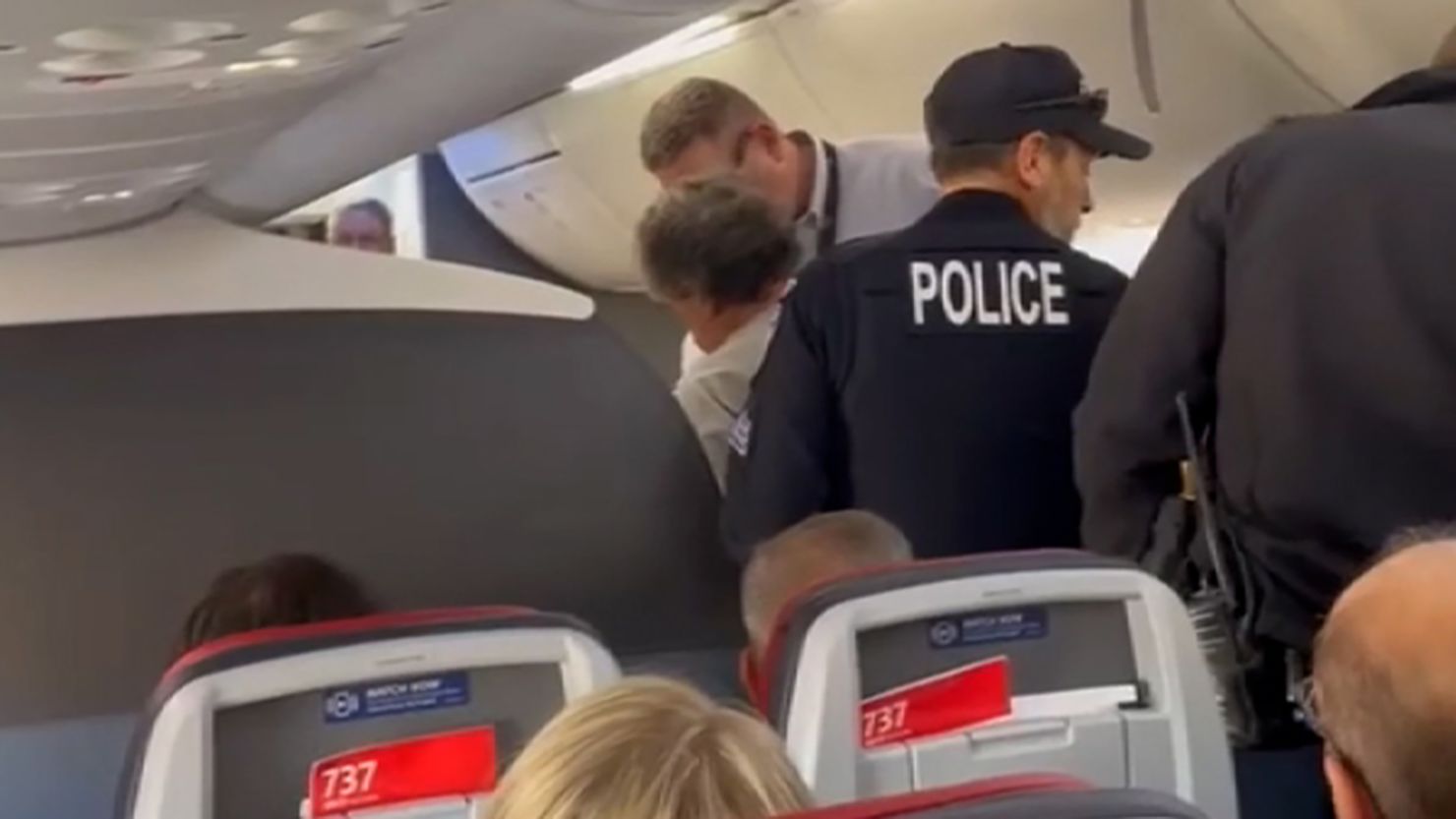 An American Airlines flight was diverted to a Texas airport after a passenger punched a flight attendant multiple times and assaulted at least one police officer, according to court documents.