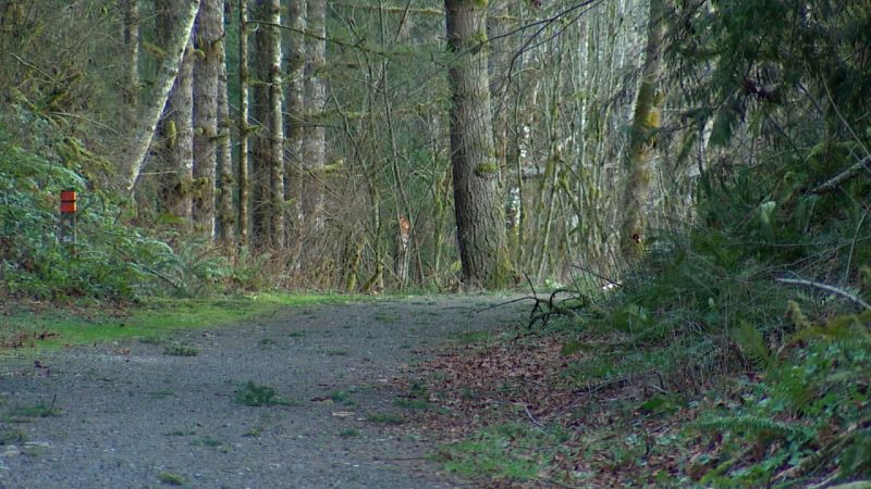 Puma ataca a ciclistas de montaña en sendero de Washington