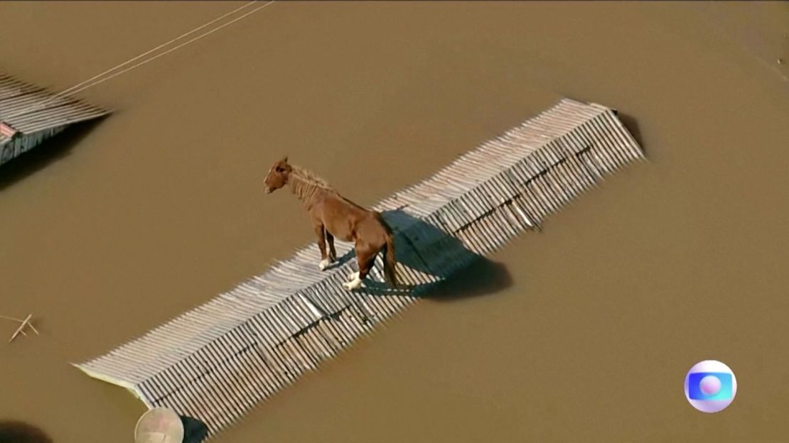 A horse was found stranded on a rooftop in a flooded area in Brazil's Rio Grande do Sul on Wednesday, May 8.