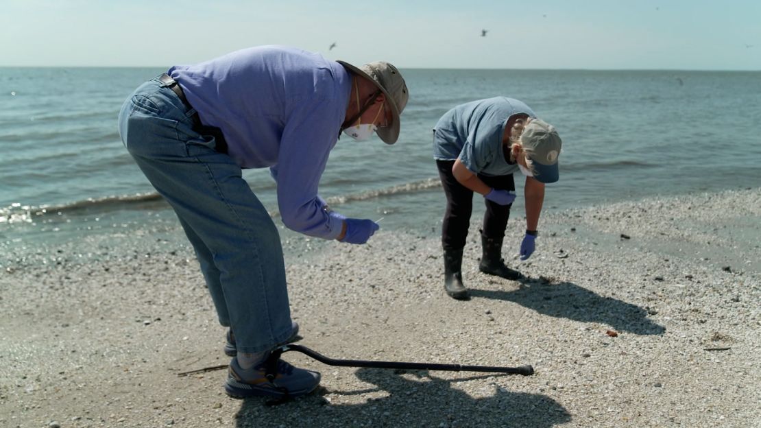 Dr. Robert Webster and Dr. Pamela McKenzie took bird bait samples at Reeds Beach, New Jersey.