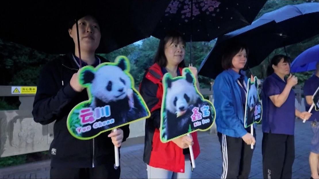 A screengrab from a video shows people bidding farewell to pandas Xin Bao and Yun Chuan in Ya'an City, China, on June 26, 2024.